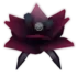 Blackbatflower